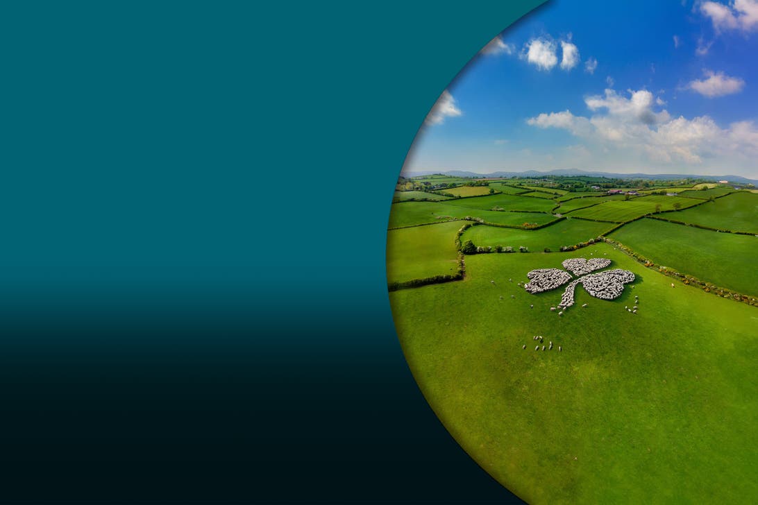 Volo Verona - Il Cairo (VRN | CAI) | Austrian Airlines, image size:1092x728