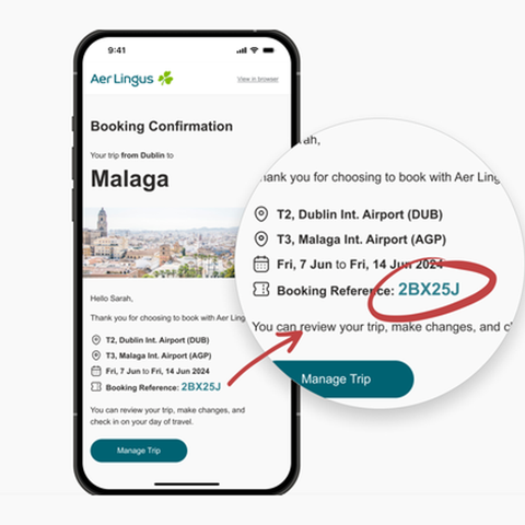Download the Aer Lingus app