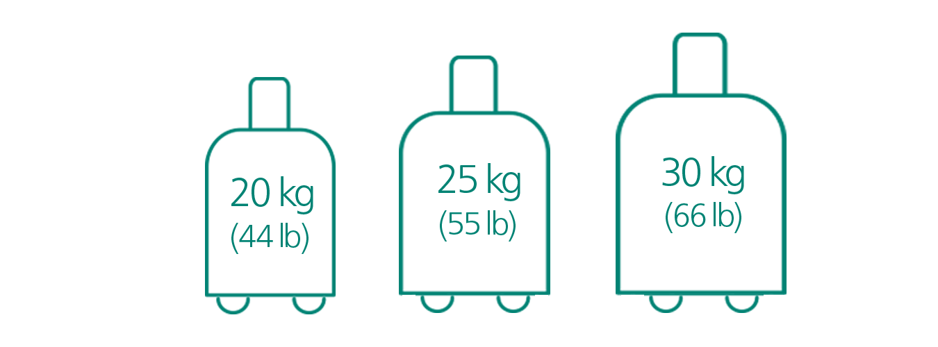 Checked Baggage Aer Lingus