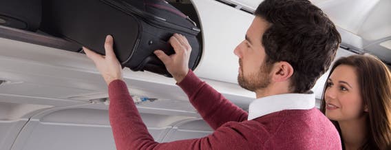 Aer lingus cheap regional cabin baggage